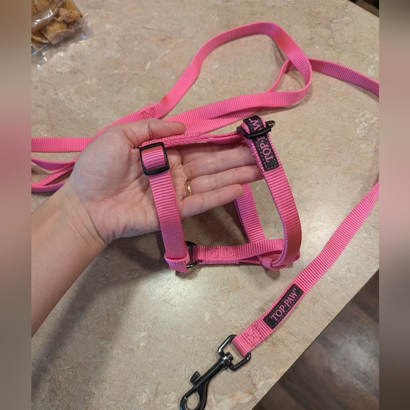 Dogs lot Harness, Leash, Toys... - Picture 11 of 15